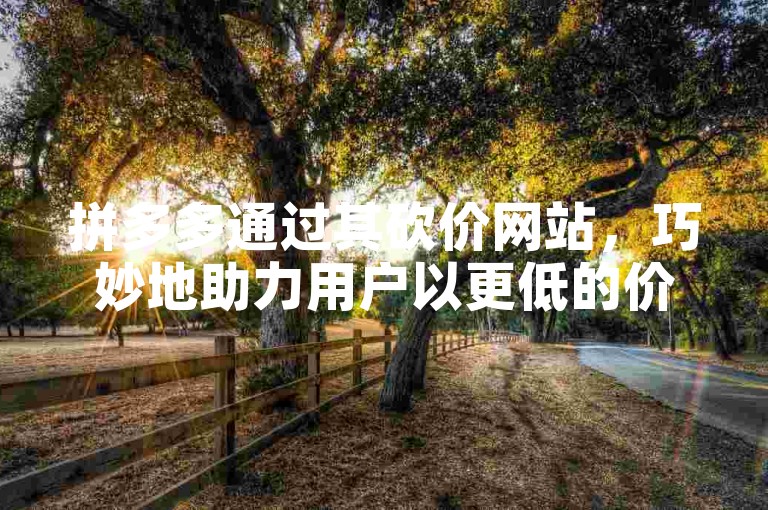 拼多多通过其砍价网站，巧妙地助力用户以更低的价格获取心仪商品。