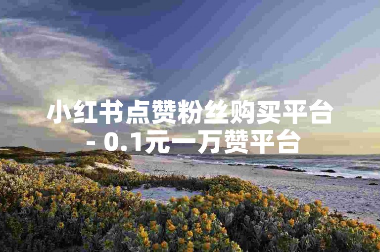 小红书点赞粉丝购买平台 - 0.1元一万赞平台