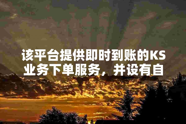 该平台提供即时到账的KS业务下单服务，并设有自助购买粉丝的功能。
