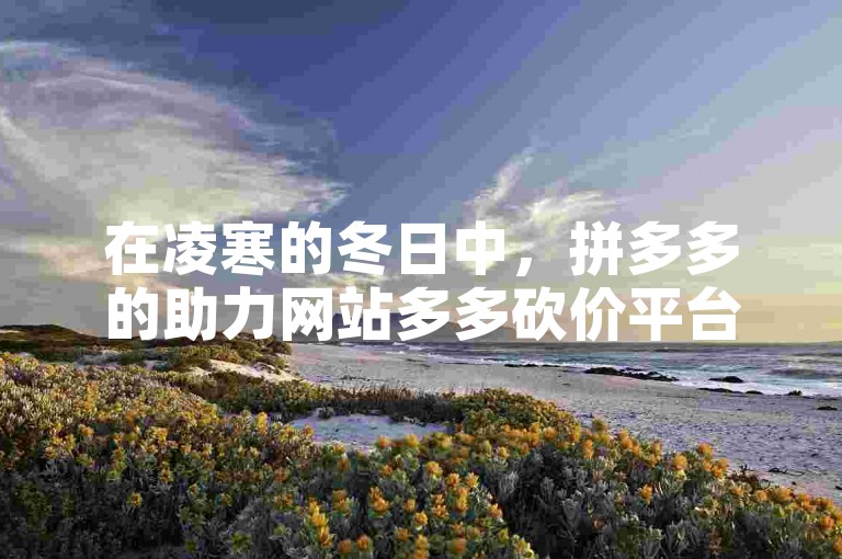 在凌寒的冬日中，拼多多的助力网站多多砍价平台为用户带来了温暖的购物体验。