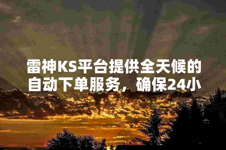雷神KS平台提供全天候的自动下单服务，确保24小时不间断的订单处理。