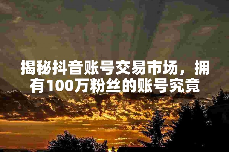 揭秘抖音账号交易市场，拥有100万粉丝的账号究竟价值几何？2025年必备知识！