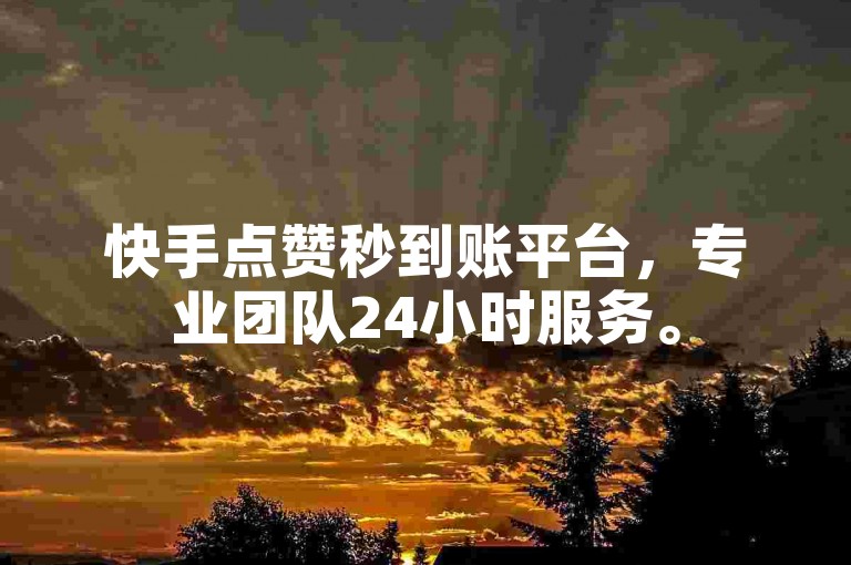 快手点赞秒到账平台，专业团队24小时服务。