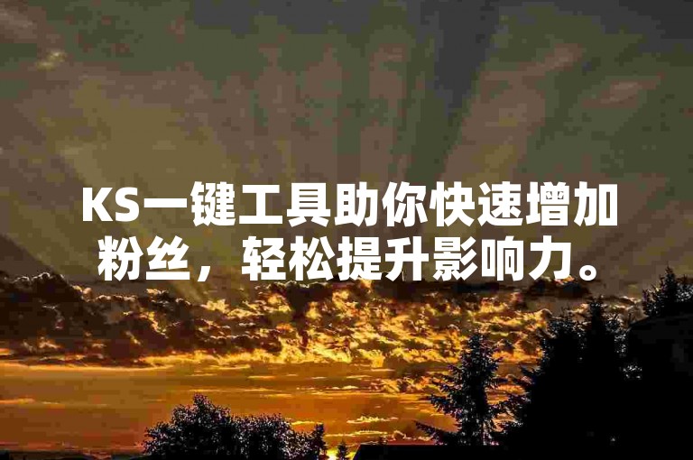 KS一键工具助你快速增加粉丝，轻松提升影响力。
