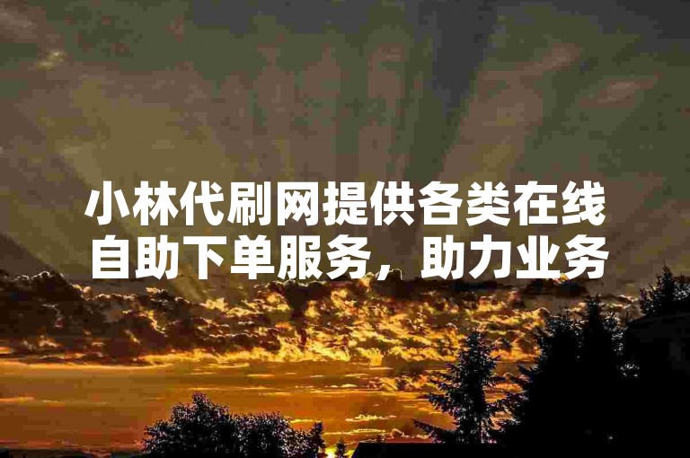 小林代刷网提供各类在线自助下单服务，助力业务发展。
