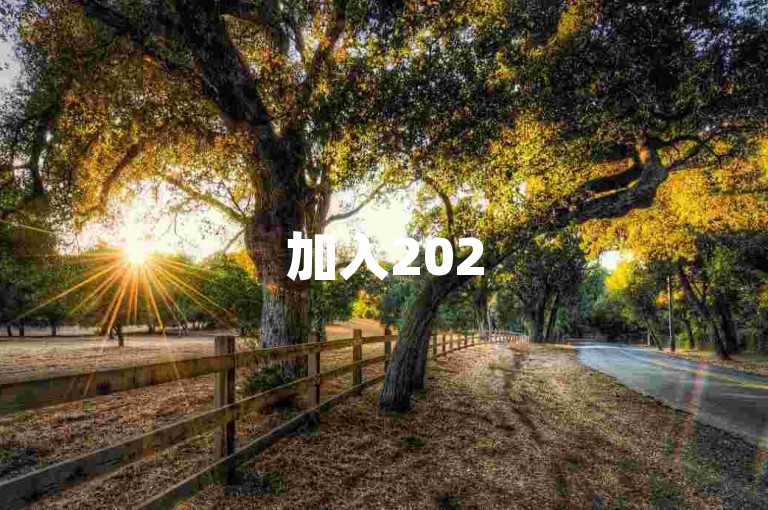 加入2025多多助力群，拼多多免费砍价，轻松得优惠。