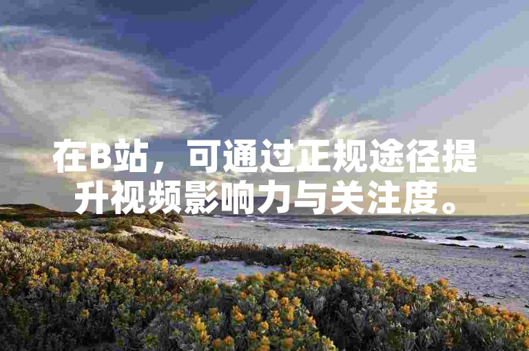 在B站，可通过正规途径提升视频影响力与关注度。