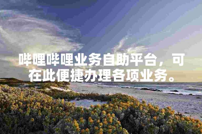 哔哩哔哩业务自助平台，可在此便捷办理各项业务。