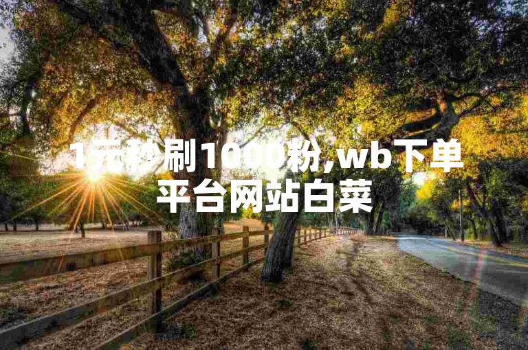 1元秒刷1000粉,wb下单平台网站白菜
