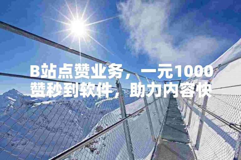 B站点赞业务，一元1000赞秒到软件，助力内容快速传播。