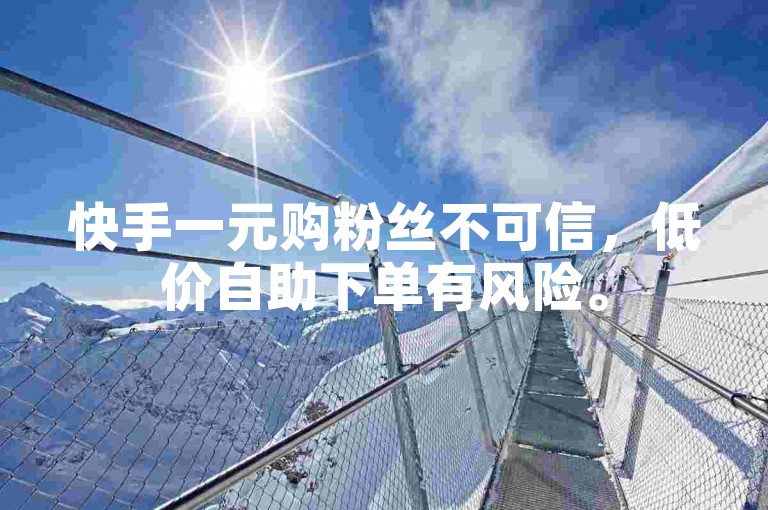 快手一元购粉丝不可信，低价自助下单有风险。