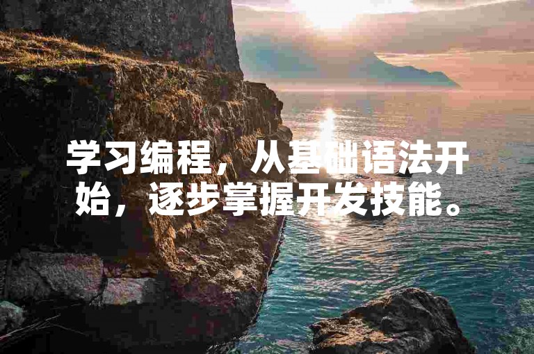 学习编程，从基础语法开始，逐步掌握开发技能。