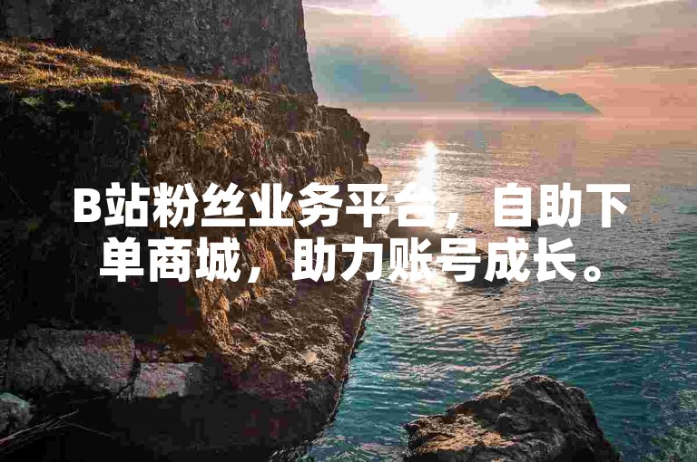 B站粉丝业务平台，自助下单商城，助力账号成长。