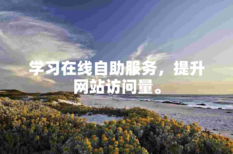 学习在线自助服务，提升网站访问量。