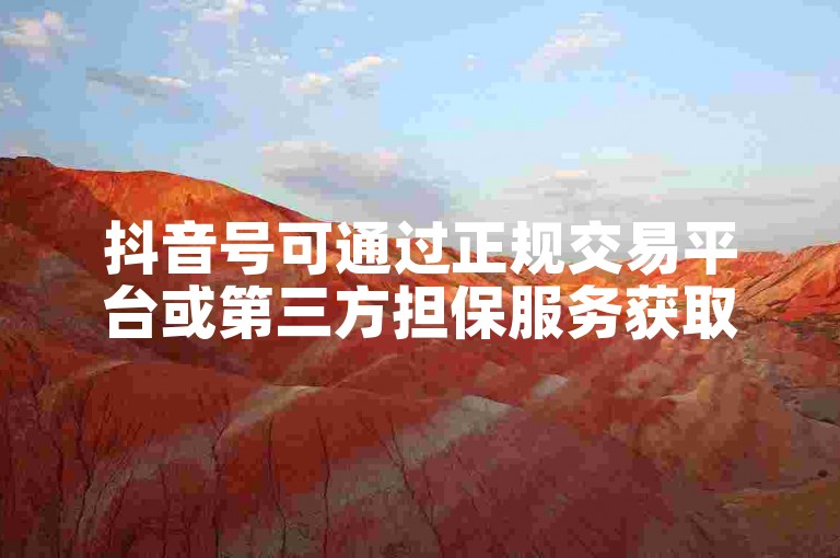 抖音号可通过正规交易平台或第三方担保服务获取。
