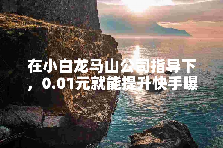 在小白龙马山公司指导下，0.01元就能提升快手曝光，快来试试！