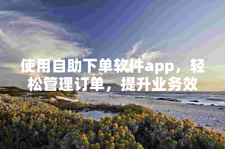 使用自助下单软件app，轻松管理订单，提升业务效率。