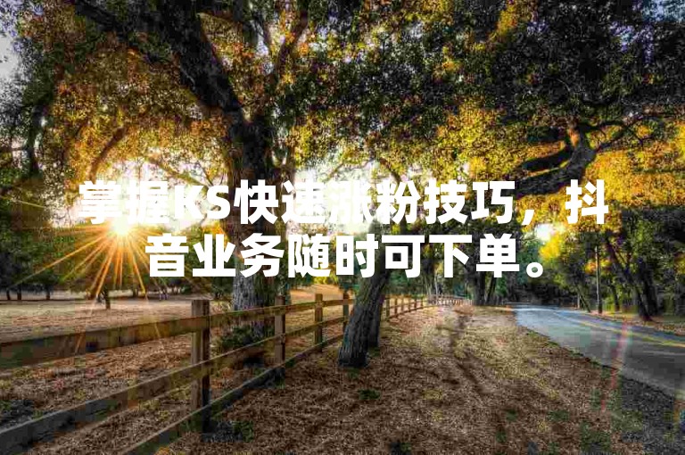 掌握KS快速涨粉技巧，抖音业务随时可下单。