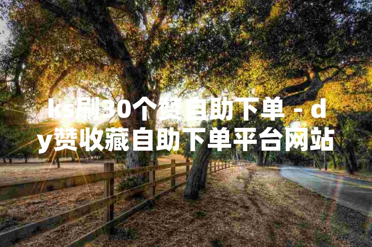 ks刷30个赞自助下单 - dy赞收藏自助下单平台网站