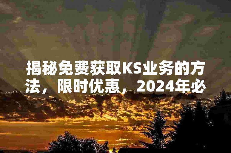 揭秘免费获取KS业务的方法，限时优惠，2024年必备技能！