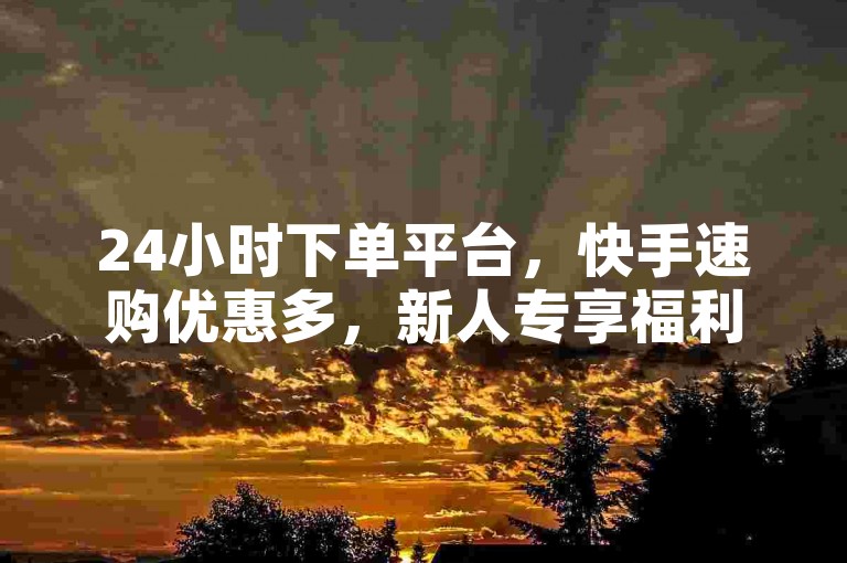 24小时下单平台，快手速购优惠多，新人专享福利！