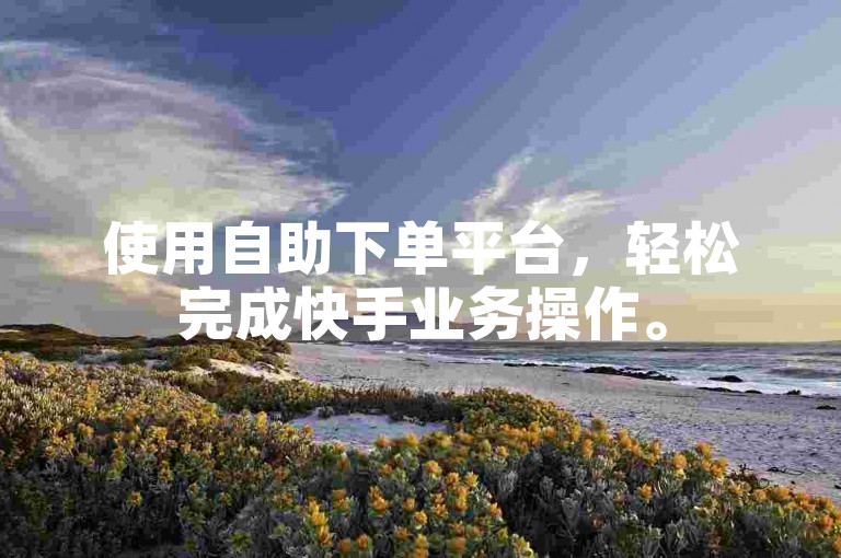 使用自助下单平台，轻松完成快手业务操作。