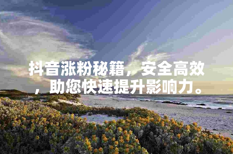 抖音涨粉秘籍，安全高效，助您快速提升影响力。