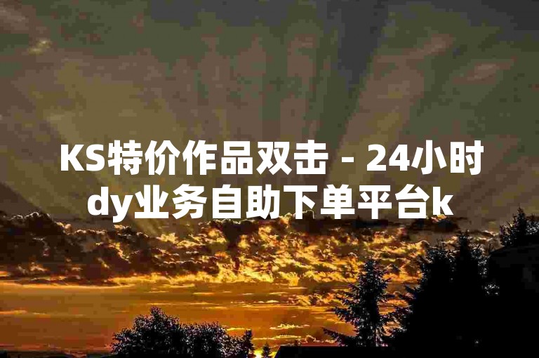 KS特价作品双击 - 24小时dy业务自助下单平台k