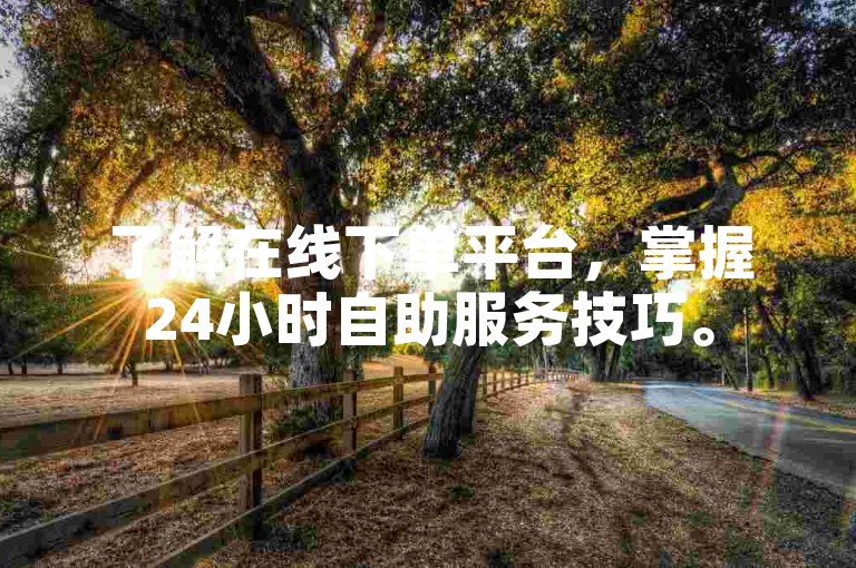 了解在线下单平台，掌握24小时自助服务技巧。