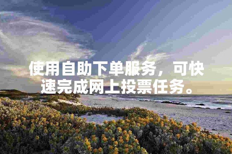 使用自助下单服务，可快速完成网上投票任务。