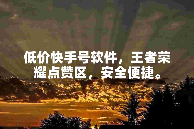 低价快手号软件，王者荣耀点赞区，安全便捷。