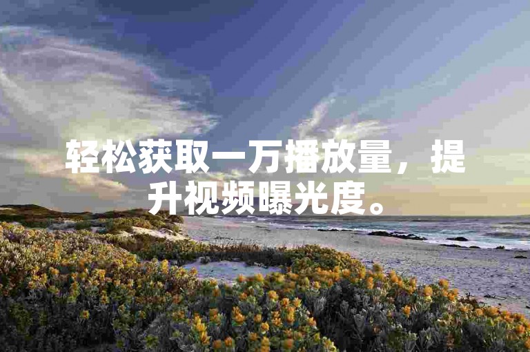 轻松获取一万播放量，提升视频曝光度。