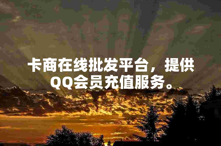 卡商在线批发平台，提供QQ会员充值服务。