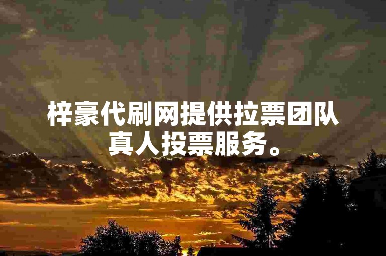 梓豪代刷网提供拉票团队真人投票服务。
