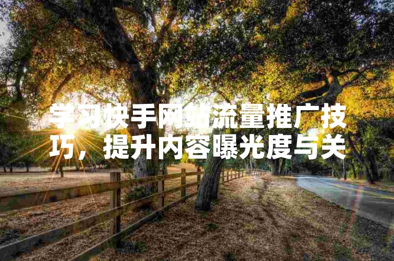 学习快手网站流量推广技巧，提升内容曝光度与关注度。