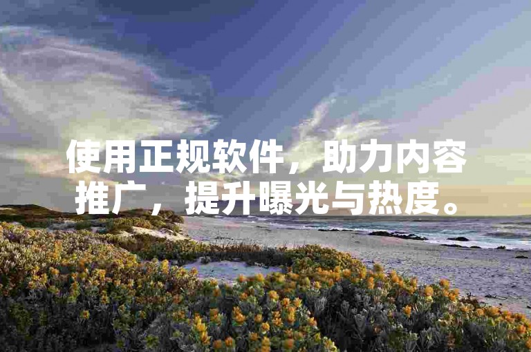 使用正规软件，助力内容推广，提升曝光与热度。