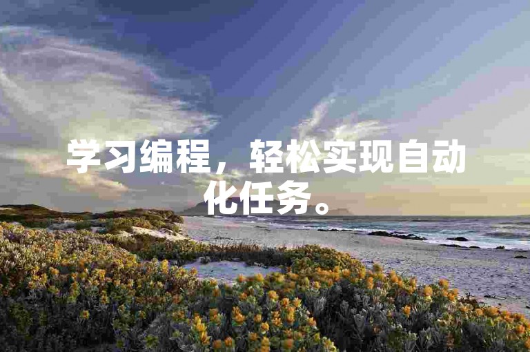 学习编程，轻松实现自动化任务。