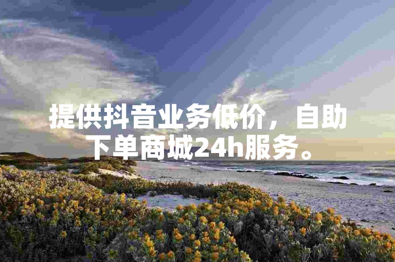 提供抖音业务低价，自助下单商城24h服务。