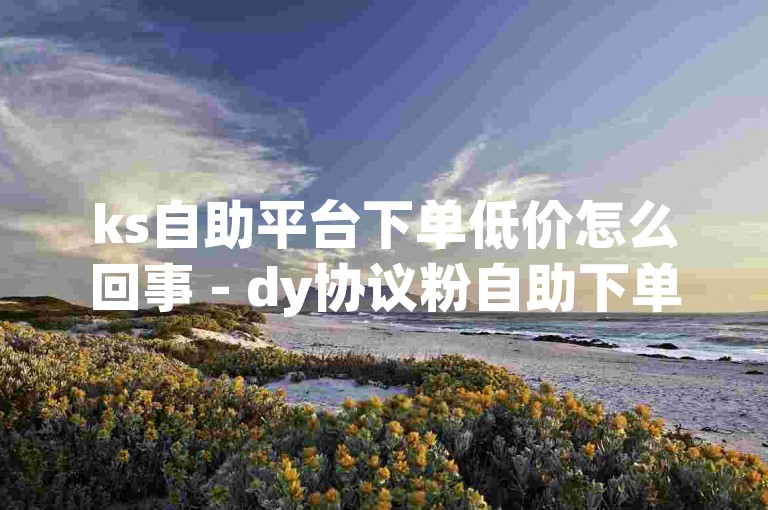 ks自助平台下单低价怎么回事 - dy协议粉自助下单