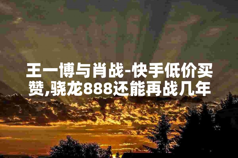 王一博与肖战-快手低价买赞,骁龙888还能再战几年