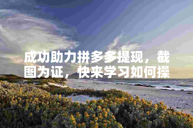 成功助力拼多多提现，截图为证，快来学习如何操作。