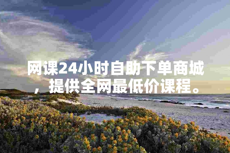 网课24小时自助下单商城，提供全网最低价课程。