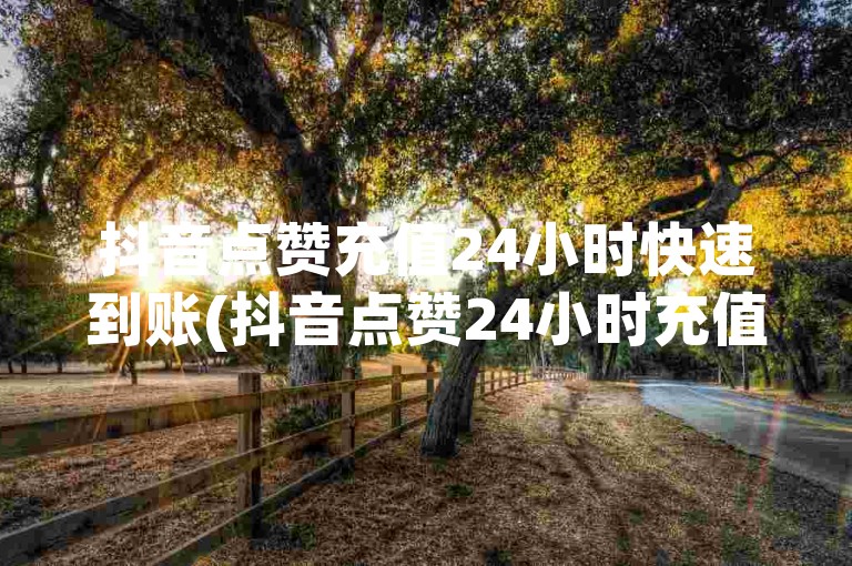 抖音点赞充值24小时快速到账(抖音点赞24小时充值速到)