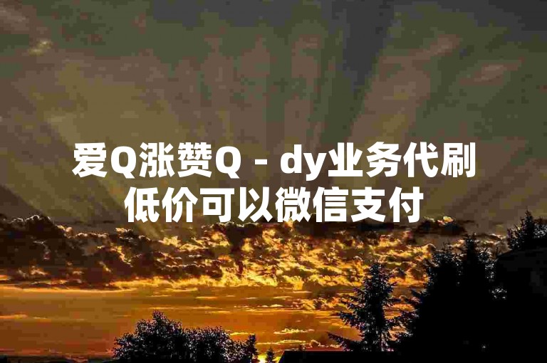 爱Q涨赞Q - dy业务代刷低价可以微信支付