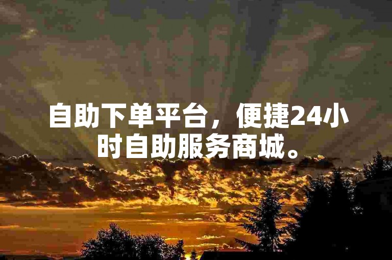 自助下单平台，便捷24小时自助服务商城。