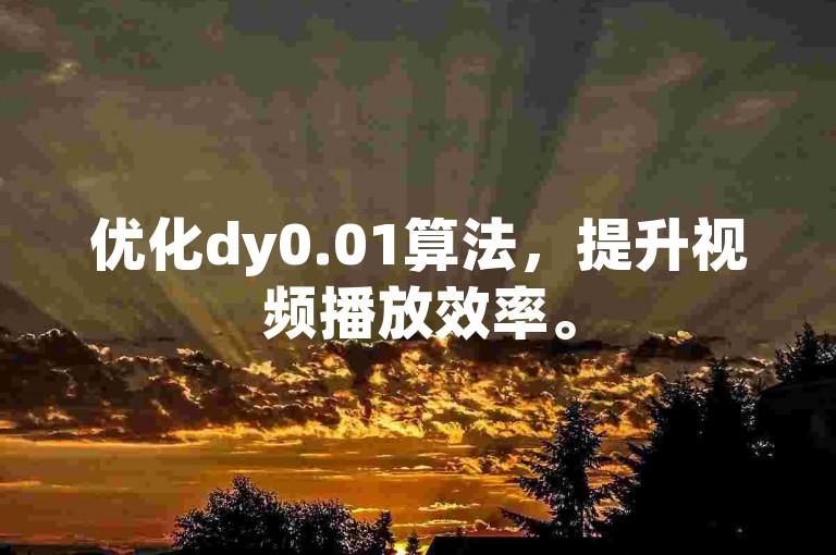 优化dy0.01算法，提升视频播放效率。