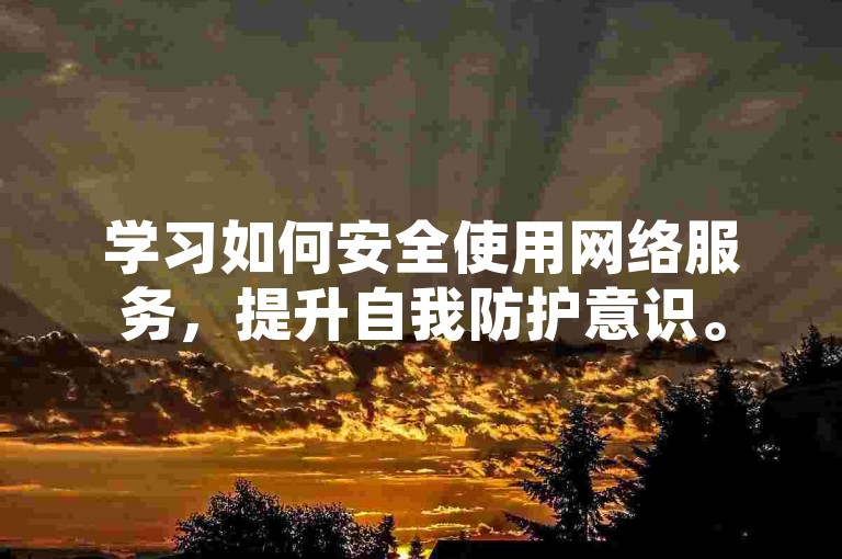 学习如何安全使用网络服务，提升自我防护意识。