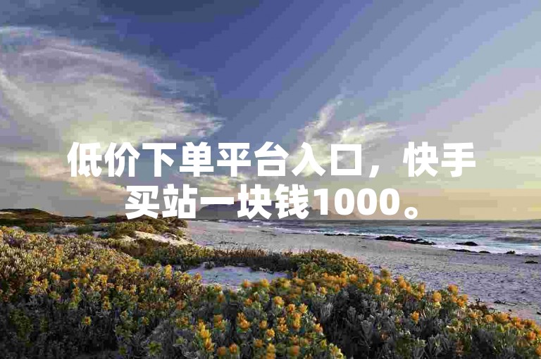 低价下单平台入口，快手买站一块钱1000。