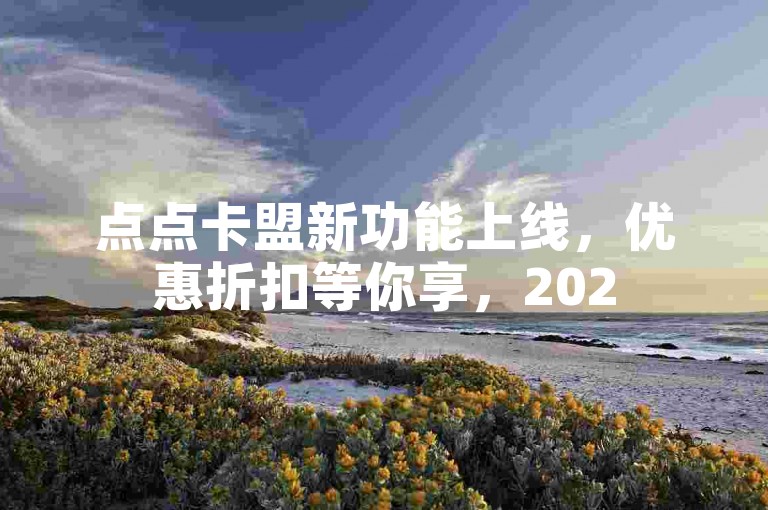 点点卡盟新功能上线，优惠折扣等你享，2025必学！