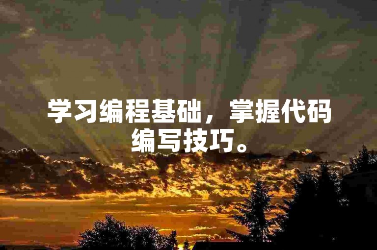 学习编程基础，掌握代码编写技巧。